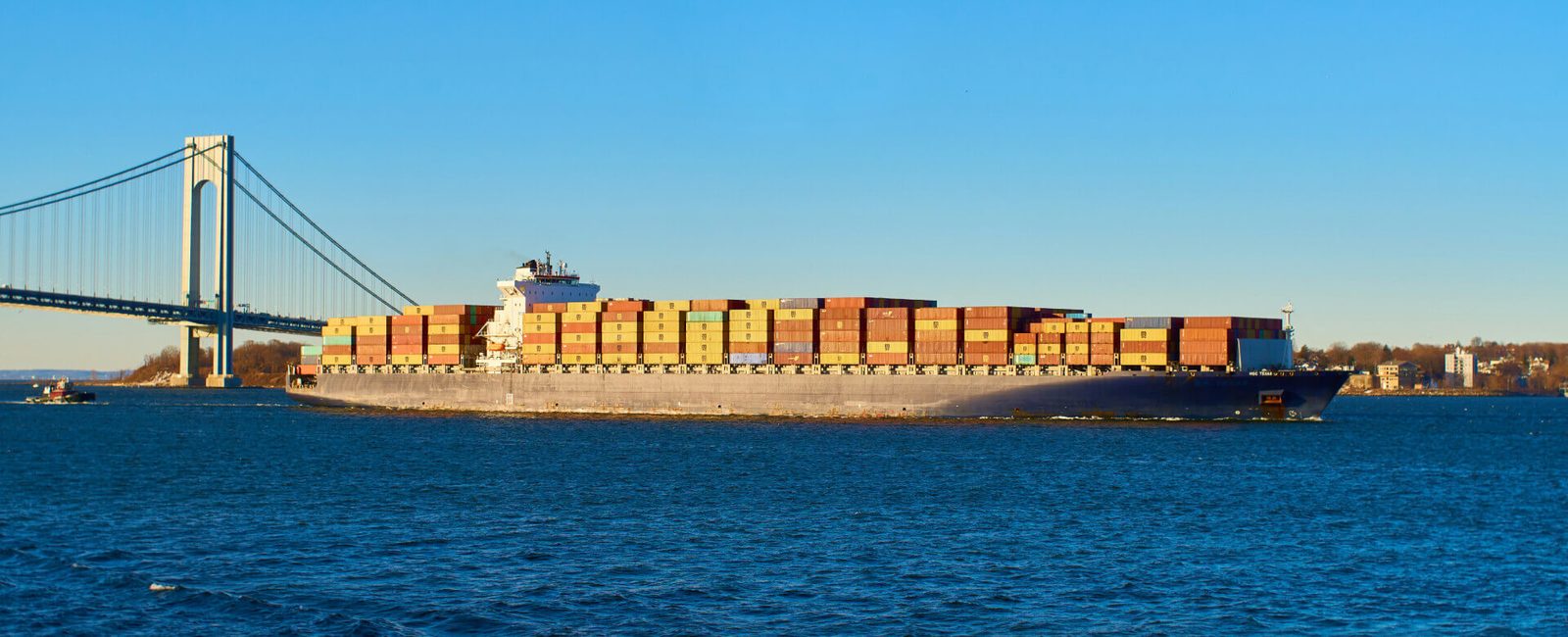 Professional cargo packing, inspection and loading operation